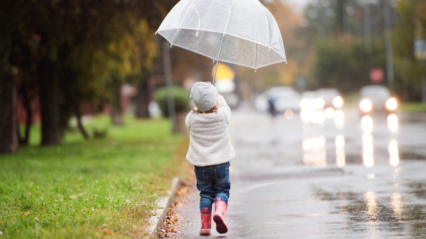 Cute little girl under the transparent umbrella in town on a rainy day. Rear view.