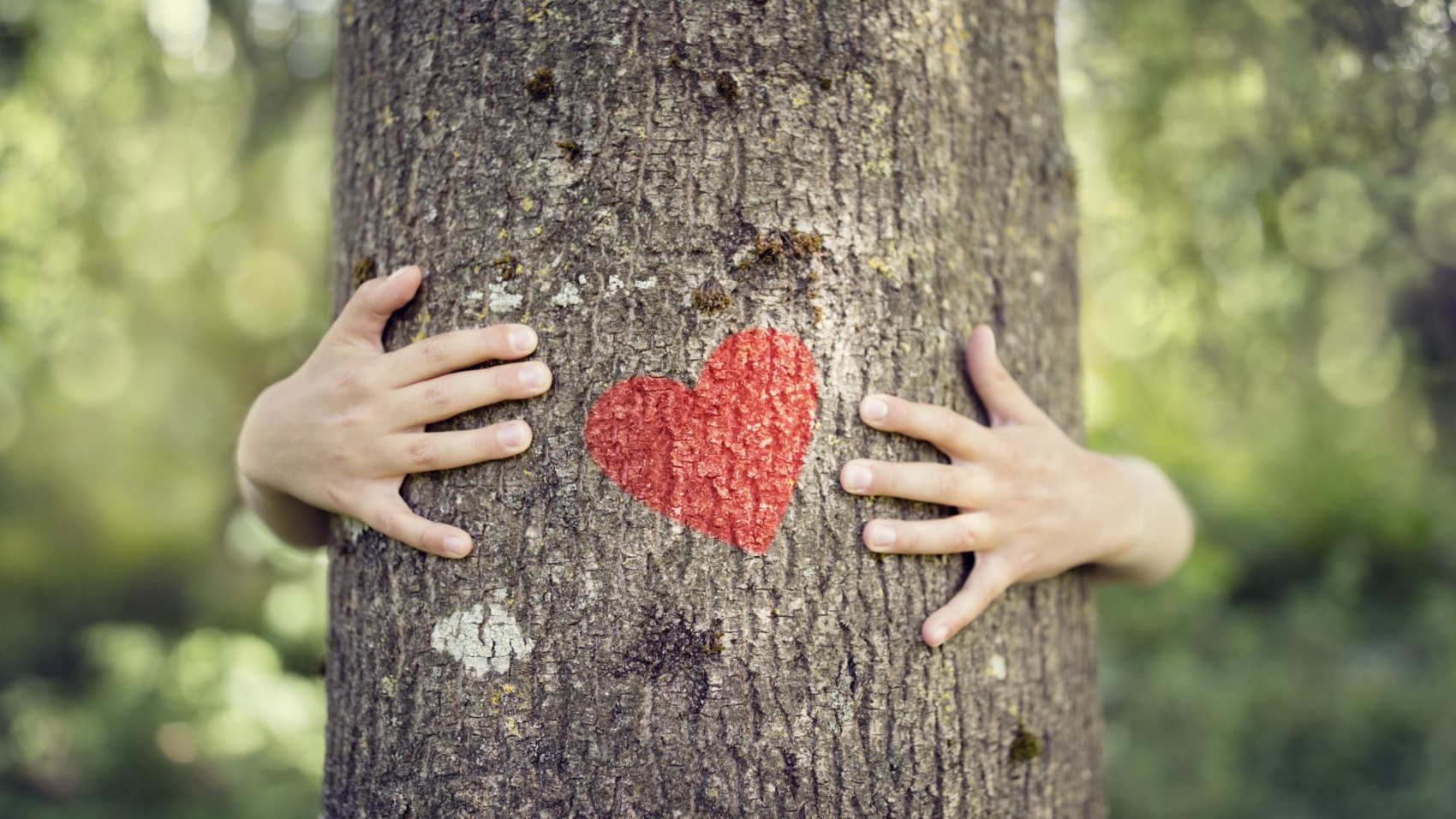 Tree hugging, little boy giving a tree a hug with red heart concept for love nature