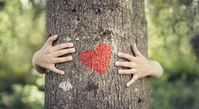 Tree hugging, little boy giving a tree a hug with red heart concept for love nature